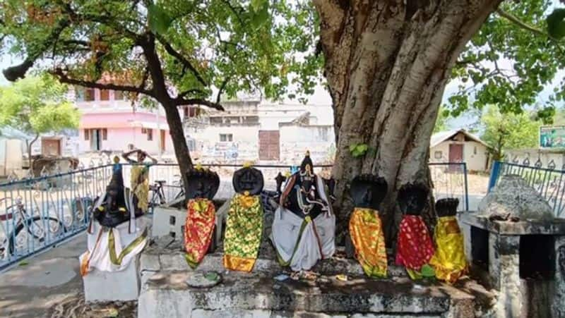 Lord vinayagar eyes on the peepal tree in the temple near Trichy