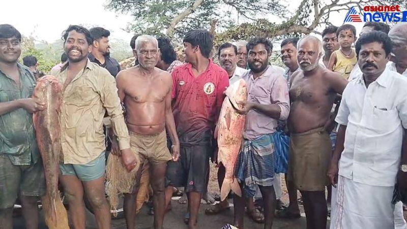 Fishing festival near Ponnamaravati for rain! People gathered for the unity of the town!