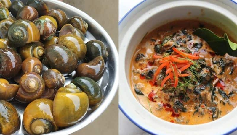 snail curry becomes favorite cuisine in andhra pradesh hyp