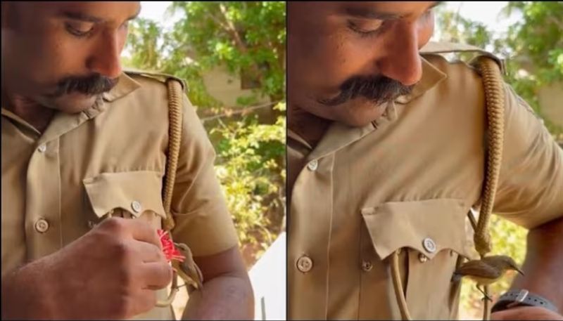 police officer feeding a bird the video goes viral hyp