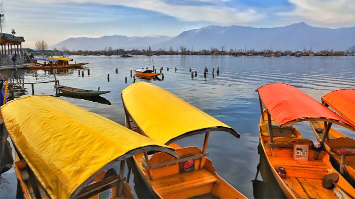 Business idea for Kashmir