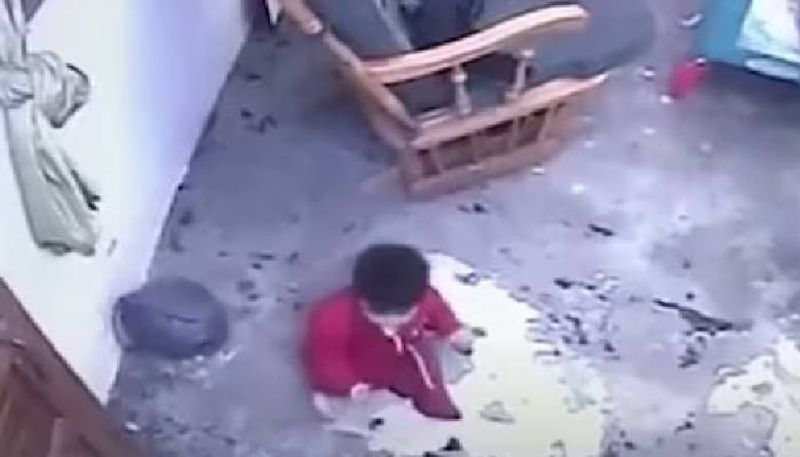 cat saves child rlp