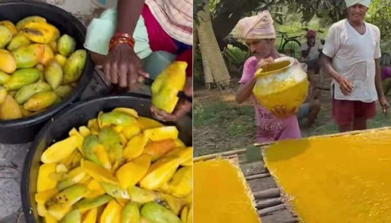 video in which villagers making mango papad raise concern about hygiene hyp