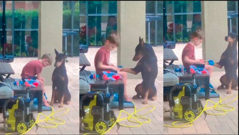 Little boy playing with dog This video has over 3 million views akb