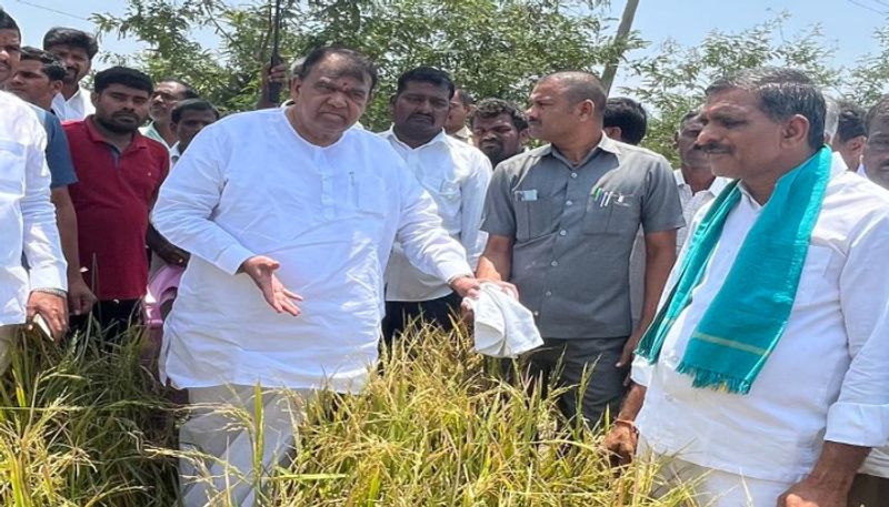 speaker pocharam srinivas reddy visits crop damage areas in banswada ksm