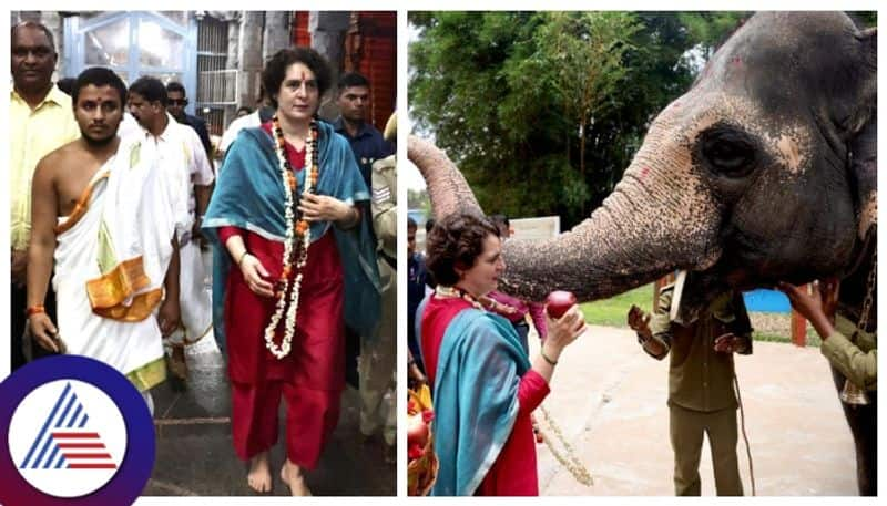 Priyanka Gandhi Visited to Sringeri at Karnataka and fed an apple to elephant sat