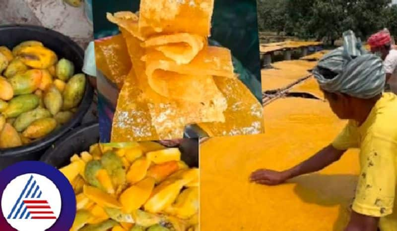 Viral Video of Farmers Making Your Favourite Mango Papd Leaves Internet Divided Vin