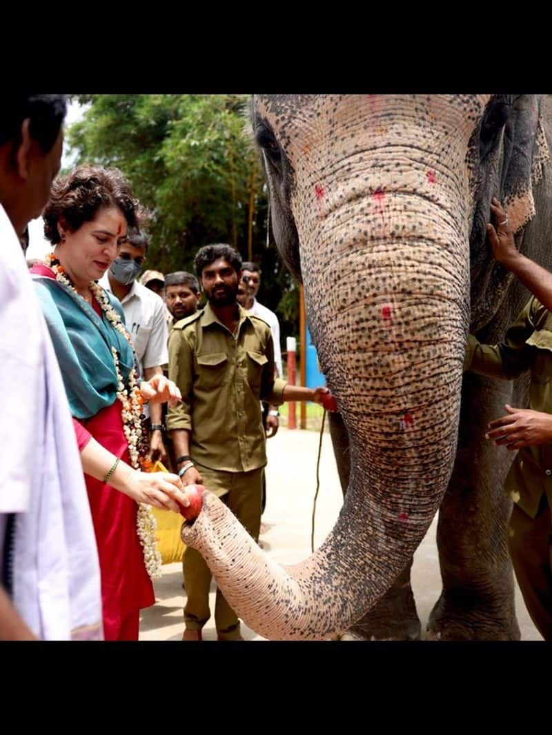 Karnataka Election 2023 Priyanka Gandhi  karnataka visit  pictures gow