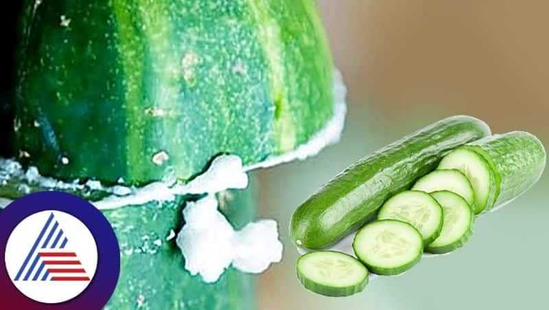 Food Tips To Reduce Cucumber Bitterness