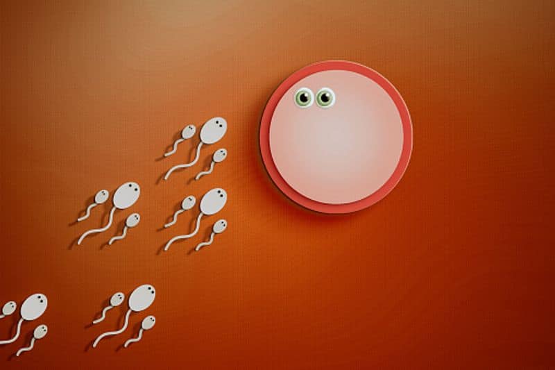 Dutch court orders sperm donor who fathered 550 children to stop gcw