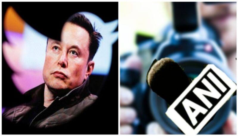 ANIs Twitter account locked: Followers miffed with Elon Musk memes explode over bizarre reason vvk