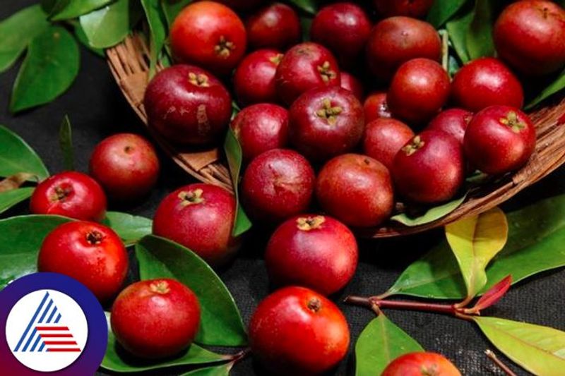 Cool down with Kokum, Know the health benefits of this summer superfruit Vin