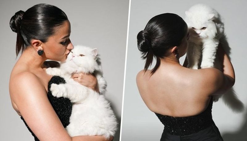 Met Gala 2023: Will Alia Bhatt's cat 'Edward' walk the red carpet? Here's what we know RBA