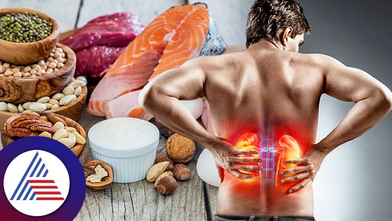 High protein diet effects on health of kidney