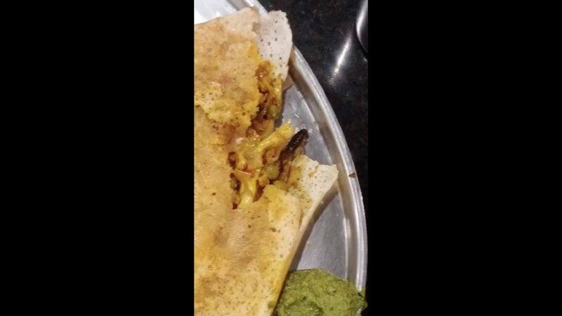 cockroach is inside of famous restaurants dosa in coimbatore