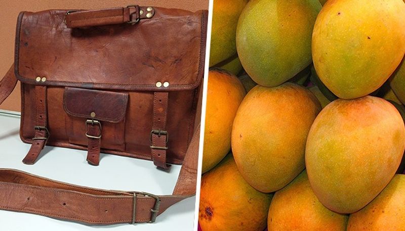 Leather from mangoes How Chennai based scientists developed an eco friendly alternative gcw