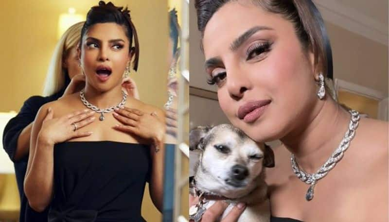 Do You know how much cost of priyanka Chopra necklace NSK