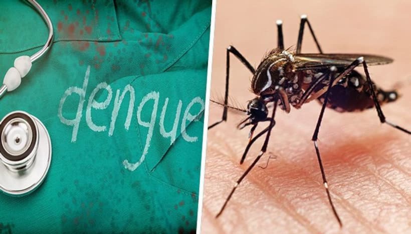 Dengue virus evolved 'dramatically' in India in last few decades, reveals IISc study