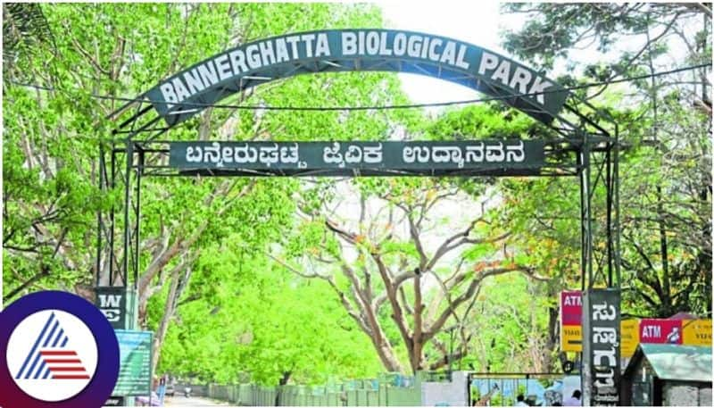 Bengaluru tourists Entry ban to Nandi hill and Bannerghatta Biological Park sat