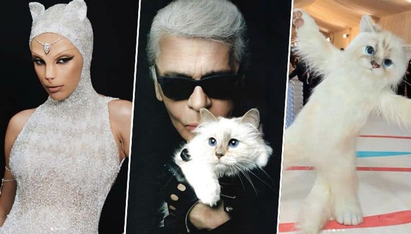 MEOW Karl Lagerfeld's famous cat Choupette FINALLY reacts to Doja Cat, Jared Leto's Met Gala outfit (PHOTOS) RBA