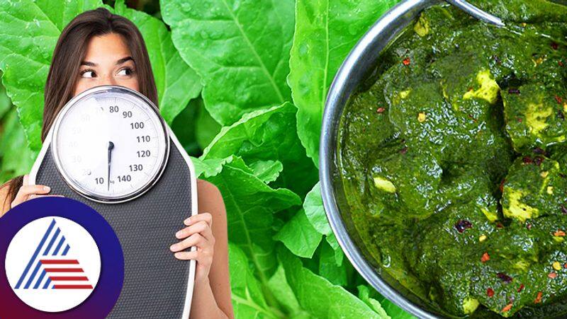 Eat Red Spinach For Weight Loss You Will Be Amazed By Result