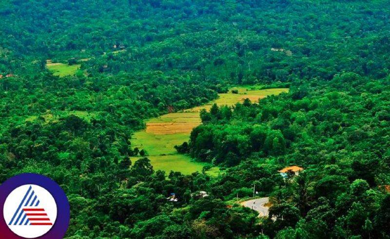 Amazing places to visit in Coorg Vin