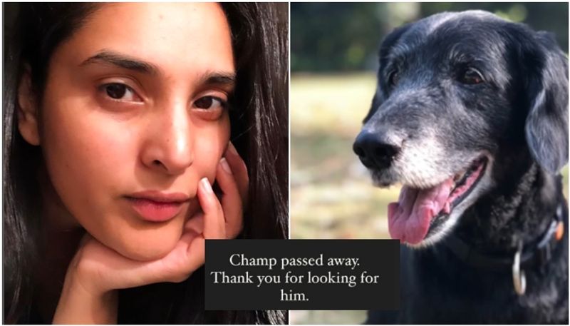 Ramya Divya spandana pet Champ passed away after missing sgk