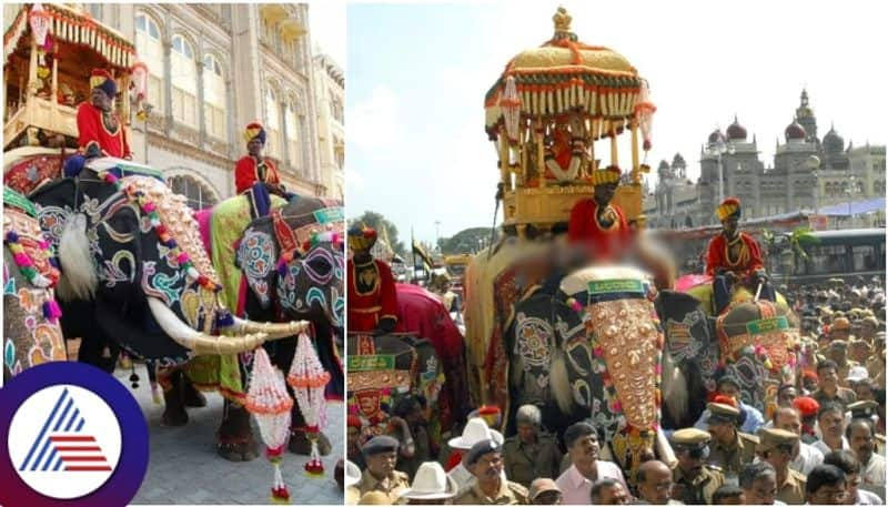 Mysuru Dasara Ambari bearer Balarama Elephant is no more sat