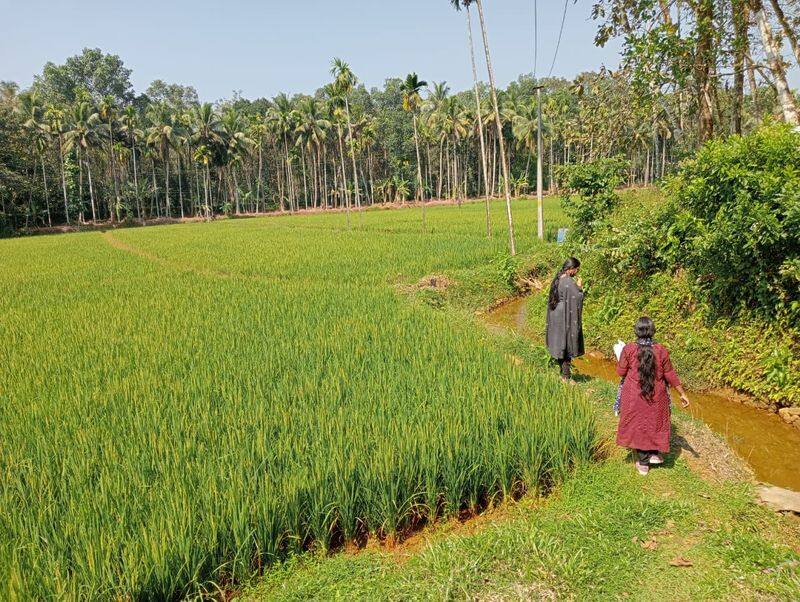 water conservation haritha keralam mission