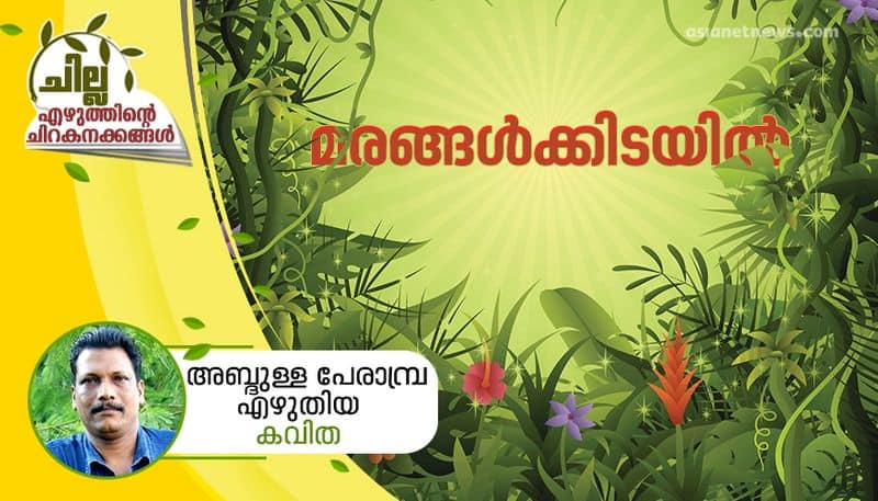 chilla malayalam poem by Abdulla Perambra