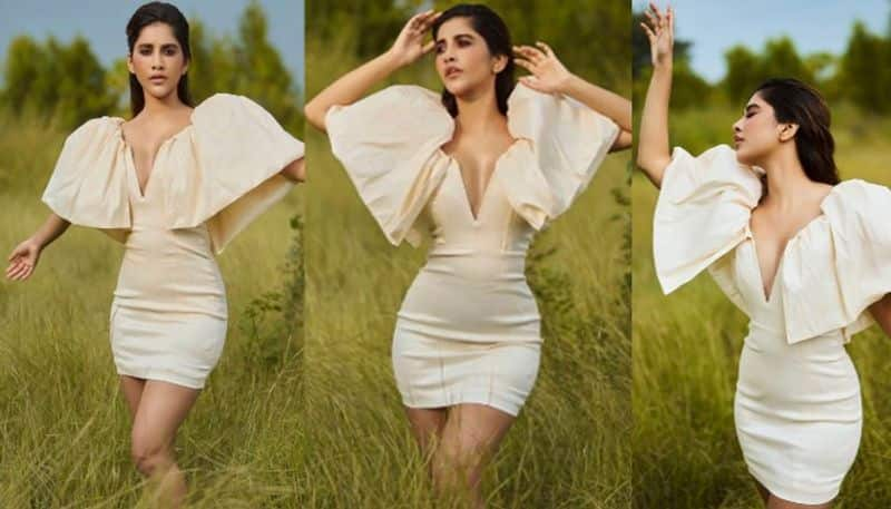 Actress Nabha Natesh attractive look in minidress NSK