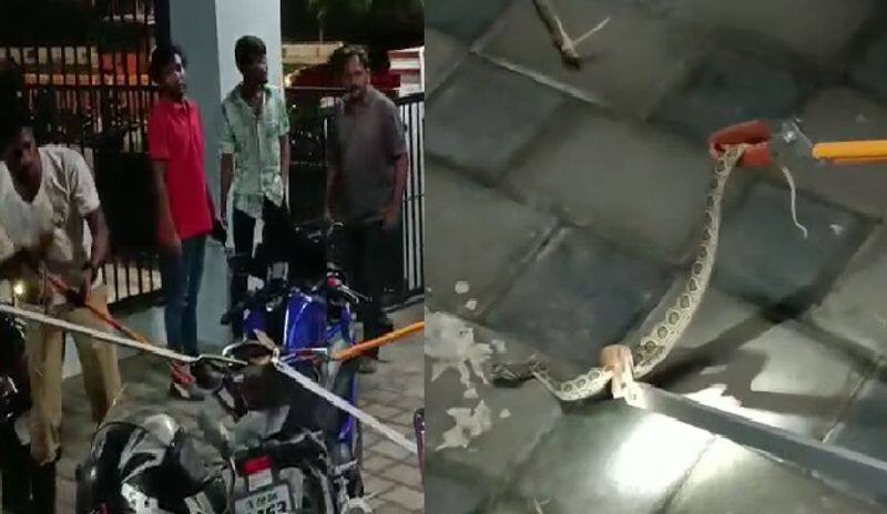 snake lurking in the bike and people got scared at coimbatore