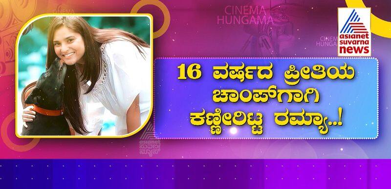 Actress Ramya Pet Champ Passed Away After Missing gvd