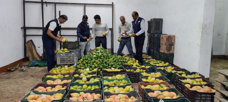 12 lakhs worth fruits demolished by officers who used chemicals in coimbatore