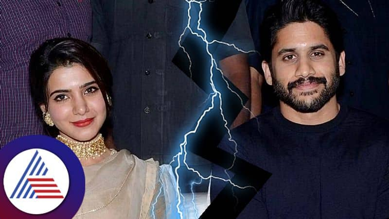 Why did Samantha Ruth Prabhu and Naga Chaitanya divorce  Here  the REAL reason