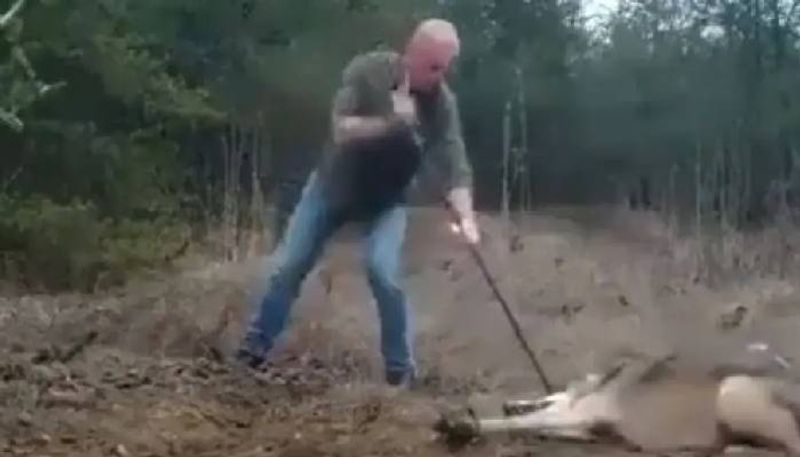 man rescues wolf from trap rlp