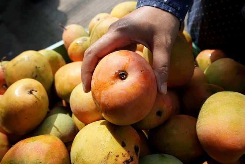 How to choose a sweet mangoes? rsl