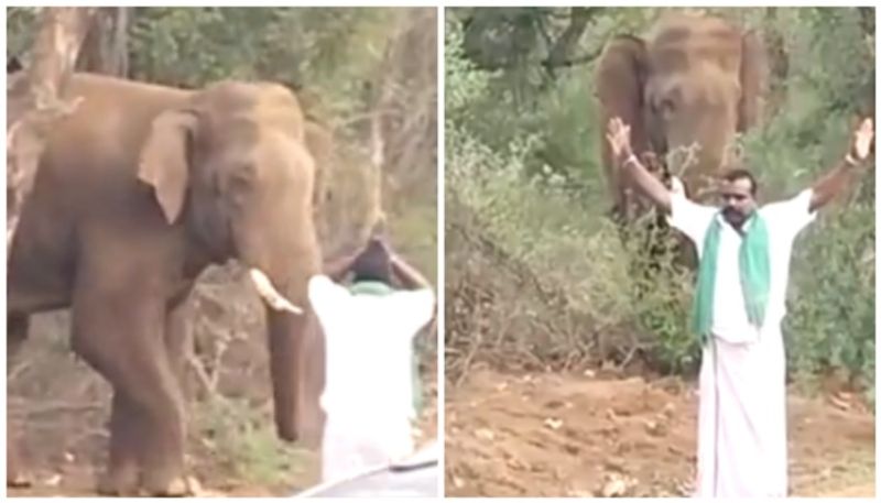 man who stood with folded hands in front of the wild elephant was arrested bkg 