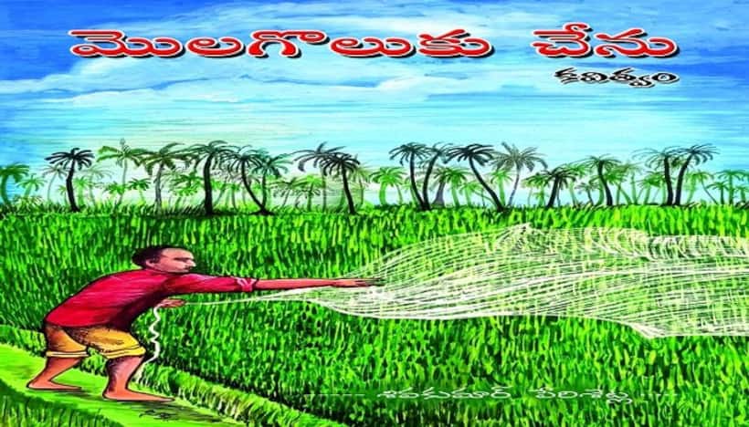 కవిత్వపు ఆకలి తీర్చే వరిపంట 'మొలగొలుకు చేను' 