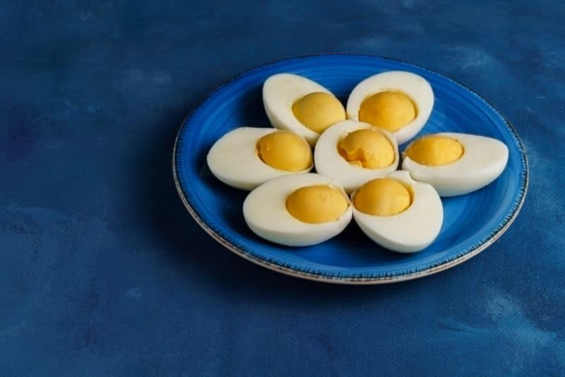 National eggs day: Here are 7 fun facts about eggs ADC