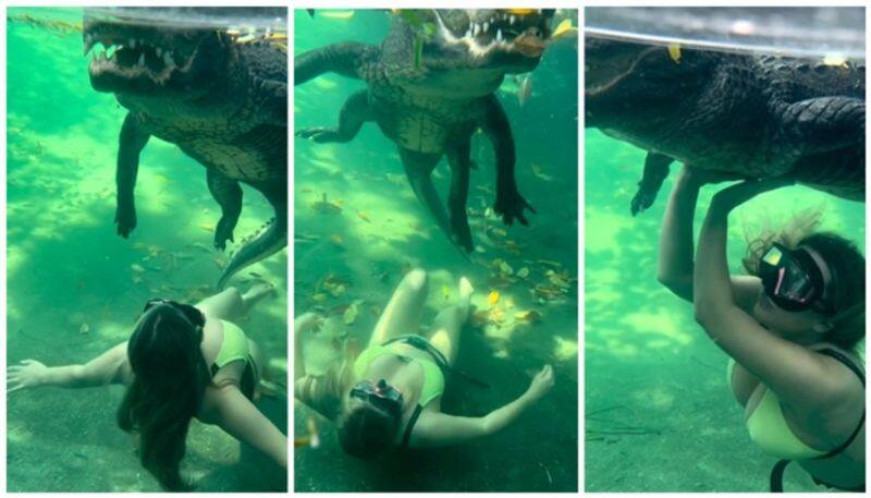 Video of woman swimming with crocodile goes viral bkg