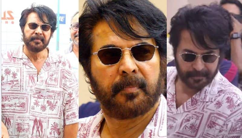 actor mammootty new look video nrn