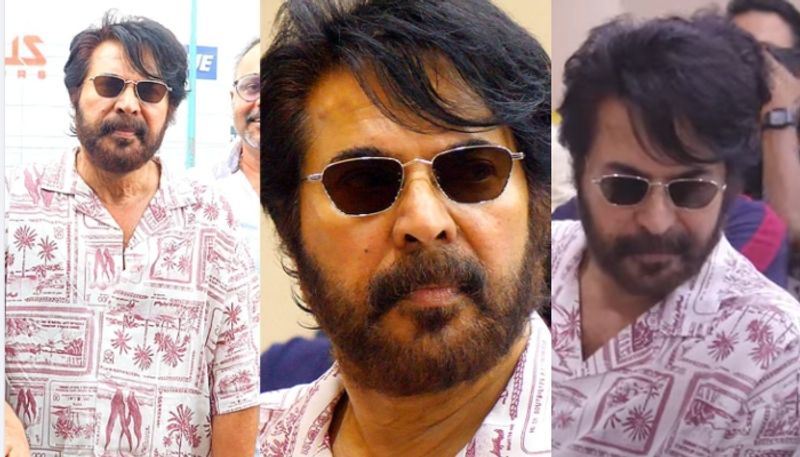 actor mammootty new look video nrn