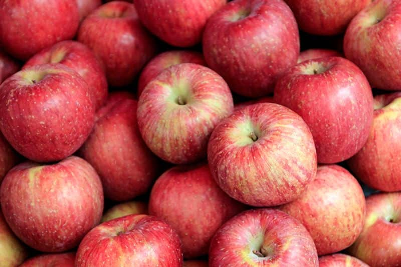 Side Effects Of Consume Exess Apple Can Cause Pollen Allergy