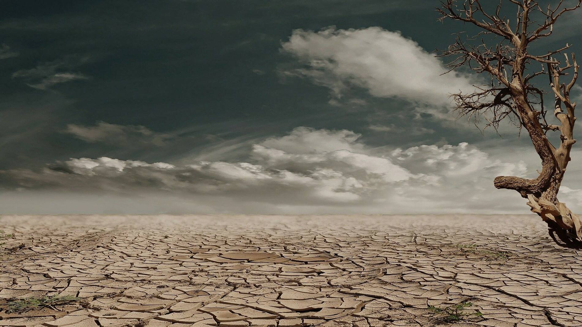 un weather agency