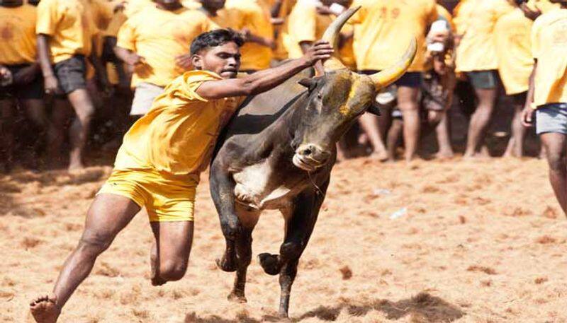 minister meyyanathan distribute prize amount for vadamadu jallikattu in pudukkottai