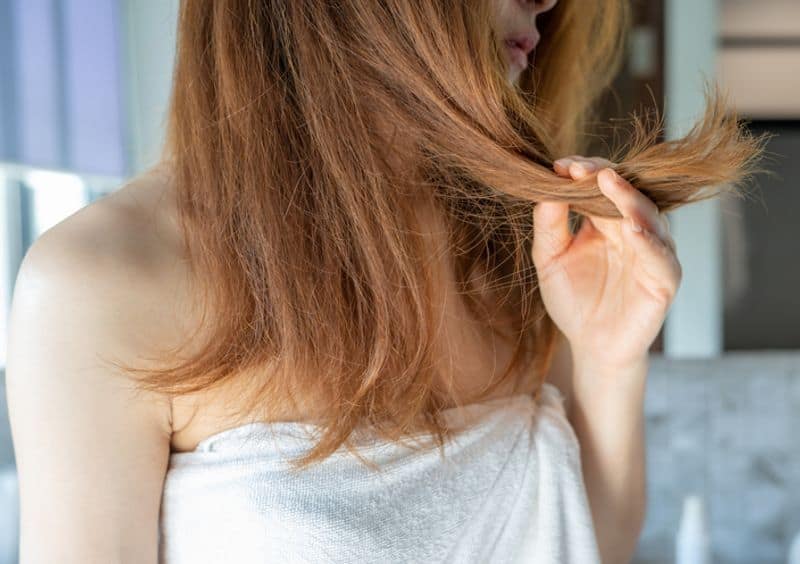 Oils Beer and Supplements: 7 things to prevent rough and dry hair ARB