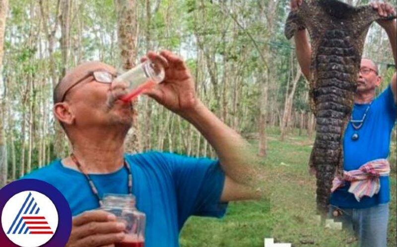 Thai Businessman Drinks Crocodile Blood Twice a Day to Stay in Shape Vin