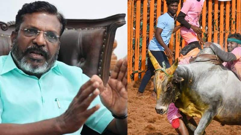 Danger of caste conflicts due to jallikattu competition.. Thirumavalavan warns.!