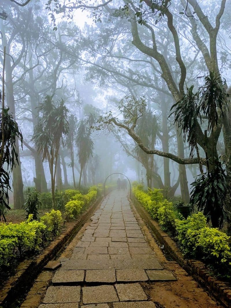 Places to visit near Bangalore within 100 Kms Vin